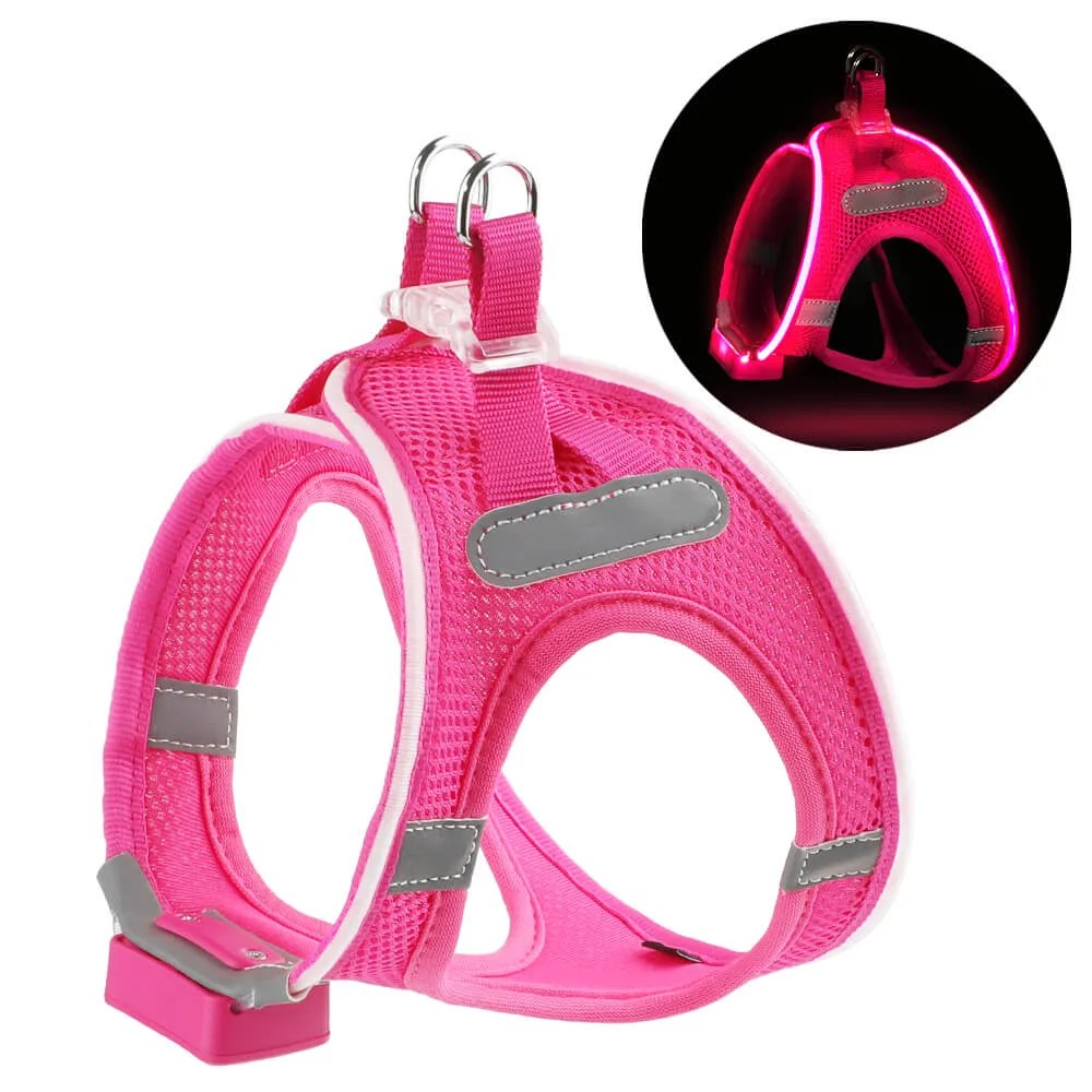 MASBRILL LED dog harness for small dogs