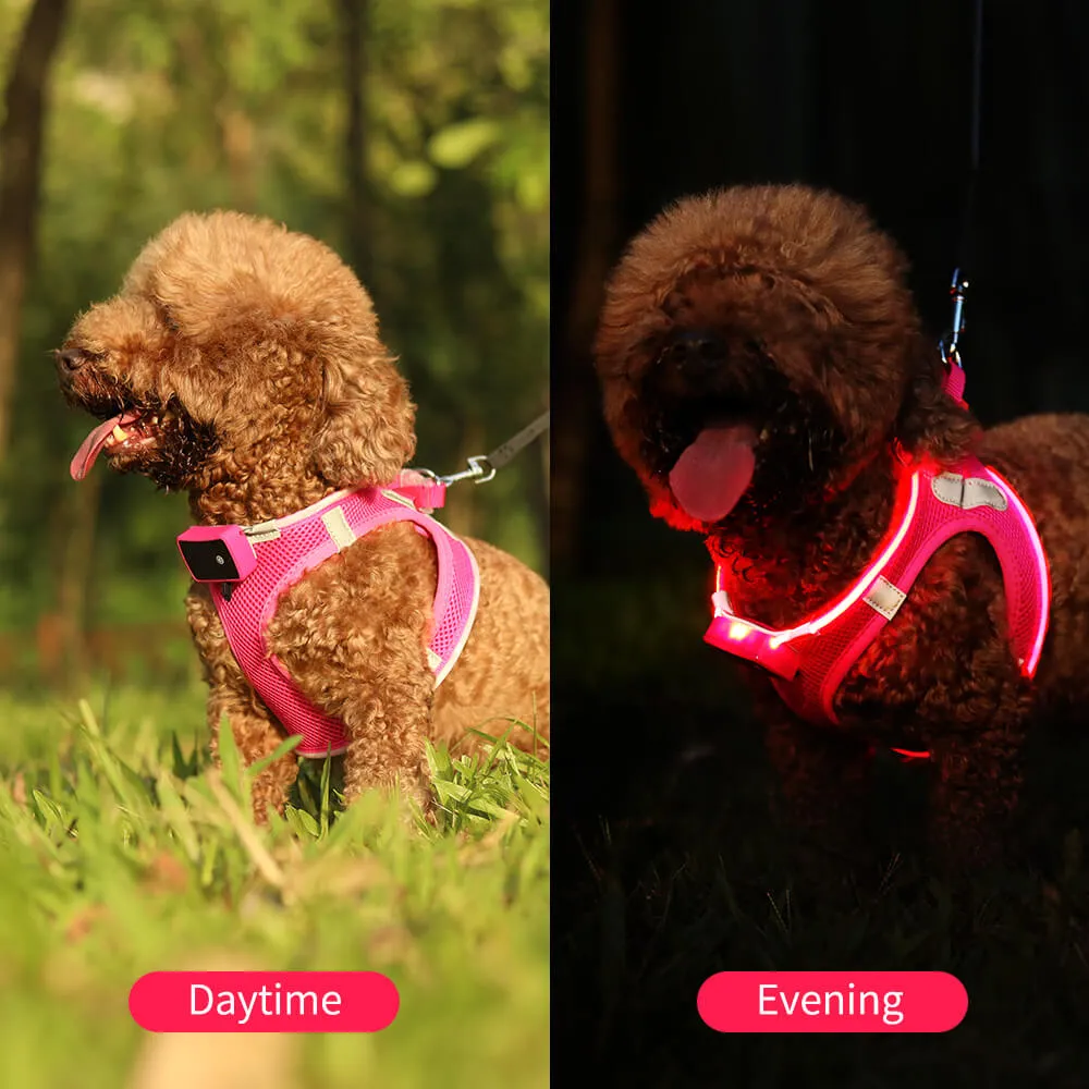 MASBRILL LED dog harness for small dogs