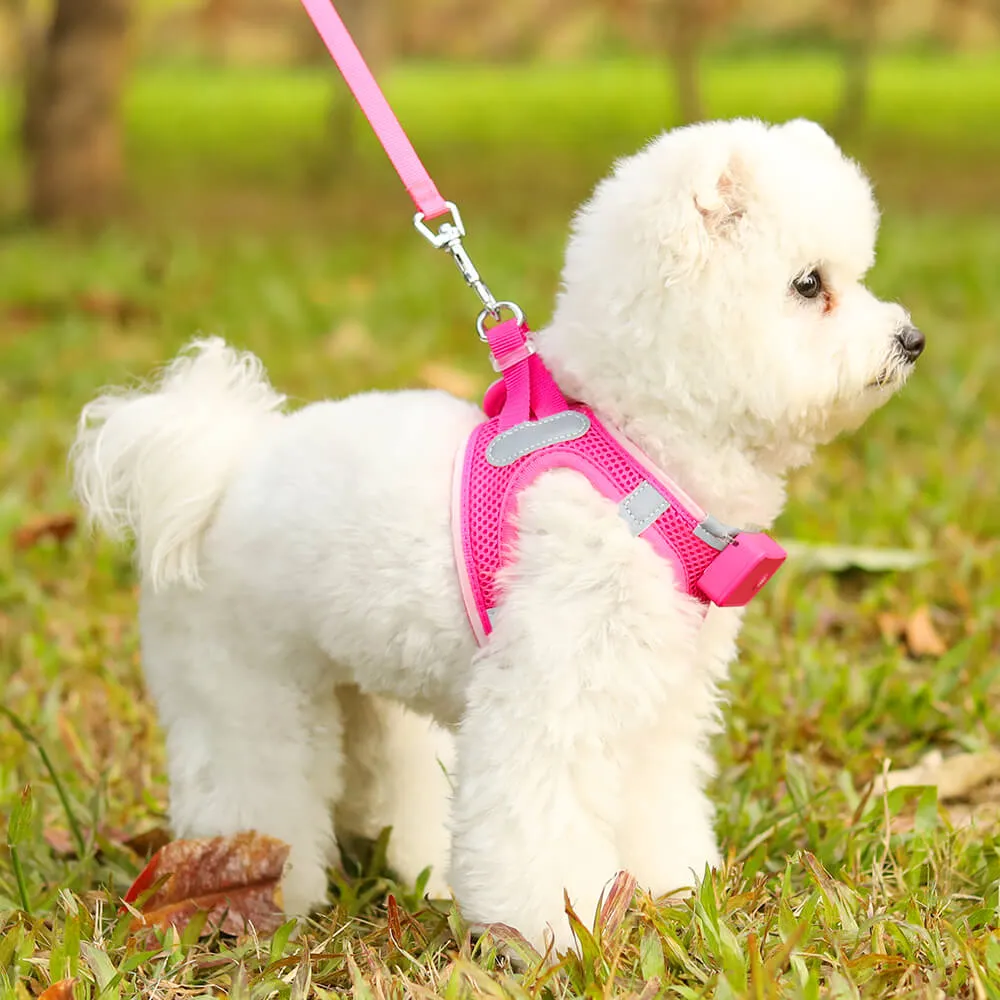 MASBRILL LED dog harness for small dogs