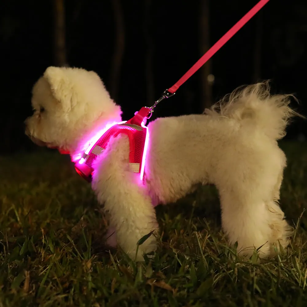 MASBRILL LED dog harness for small dogs