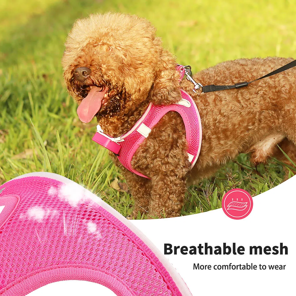 MASBRILL LED dog harness for small dogs