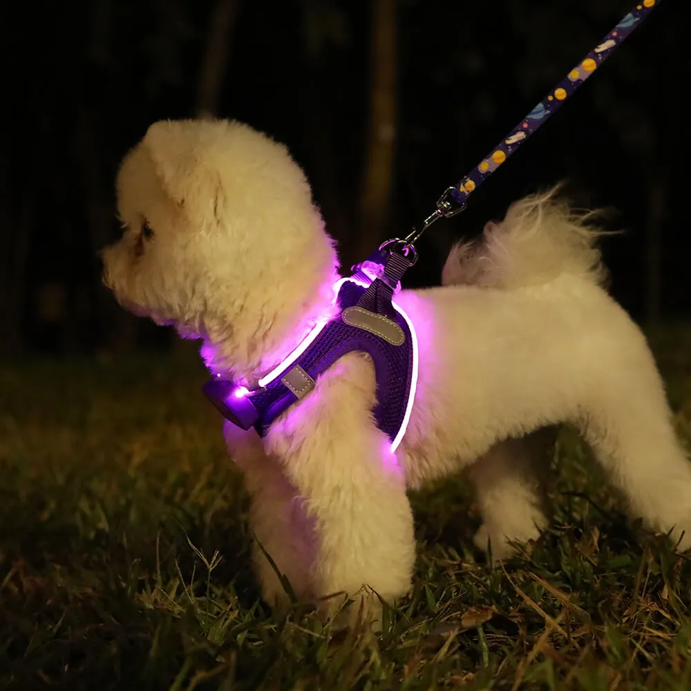 MASBRILL LED dog harness for small dogs