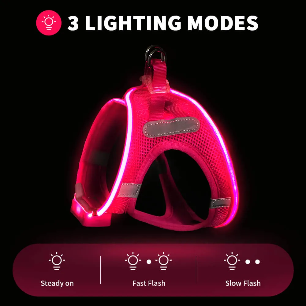 MASBRILL LED dog harness for small dogs