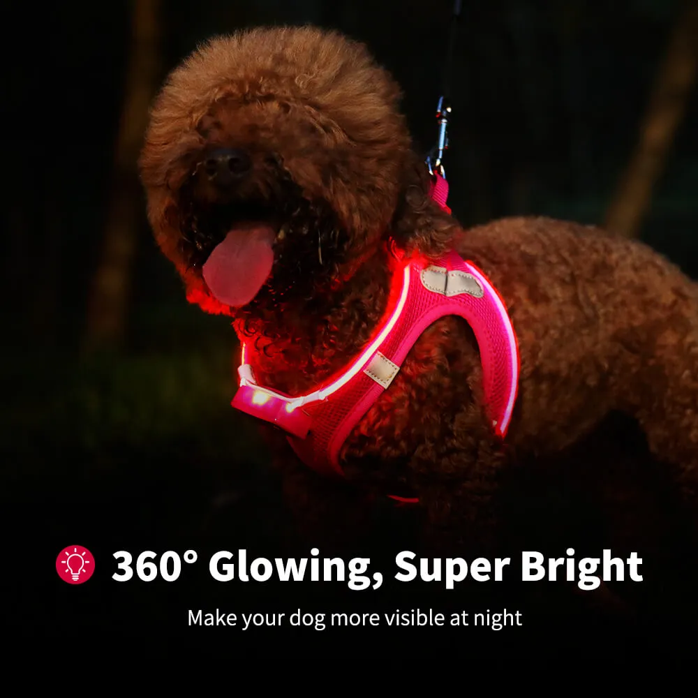 MASBRILL LED dog harness for small dogs