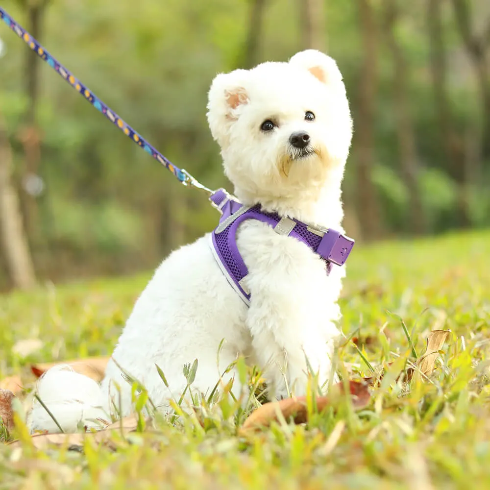 MASBRILL LED dog harness for small dogs