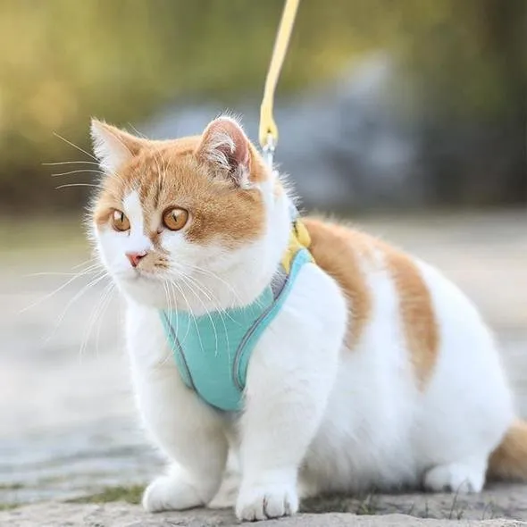 PawProwl - Escape Proof Cat Vest Harness and Leash Set
