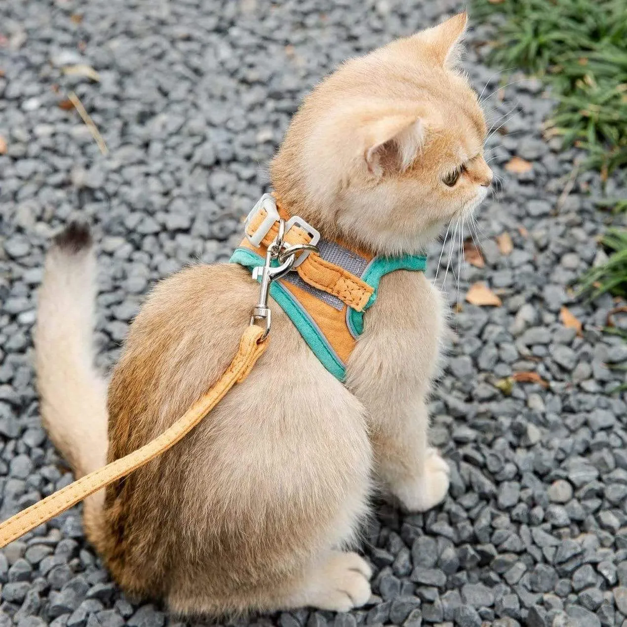 PawProwl - Escape Proof Cat Vest Harness and Leash Set
