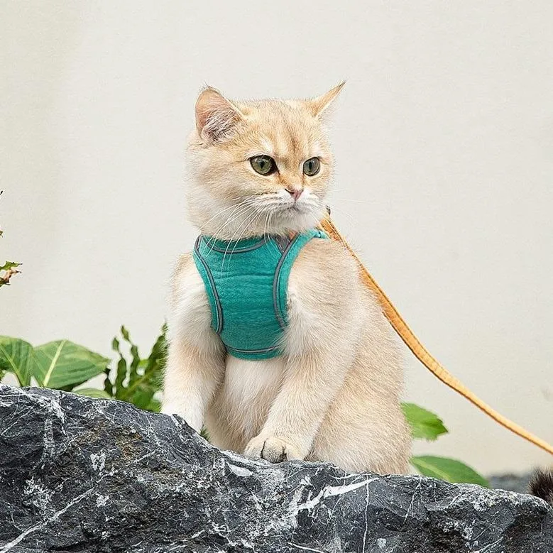PawProwl - Escape Proof Cat Vest Harness and Leash Set