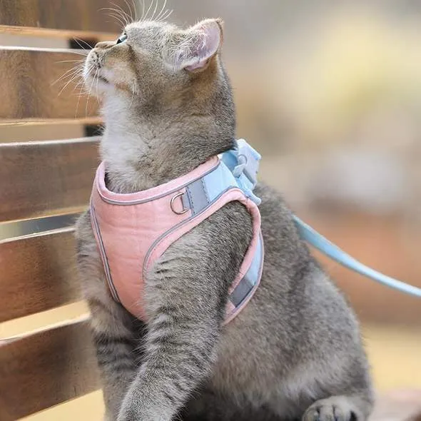PawProwl - Escape Proof Cat Vest Harness and Leash Set