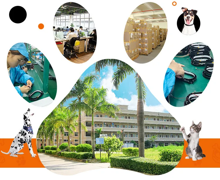 PAWS ASIA AliExpress Best Sale Low Price Eco Friendly Chew Proof   Automatic Retractable Running Dog Leash