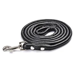PAWS ASIA AliExpress Best Sell Trendy PU Material Cute Multicolor Tough Long Dog Leash