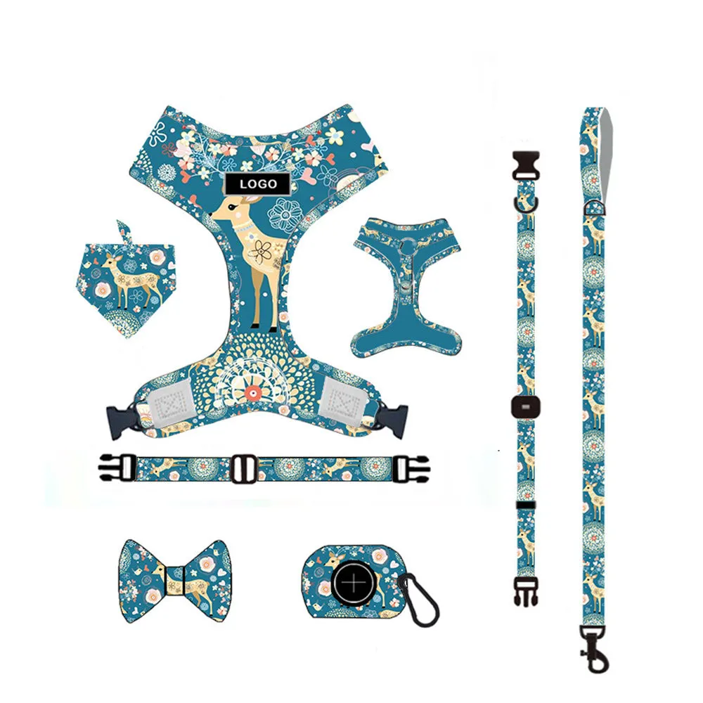 PAWS ASIA Factory Customized Classy Macrame Private Logo Various Specifications Dog Leash Harness Sets