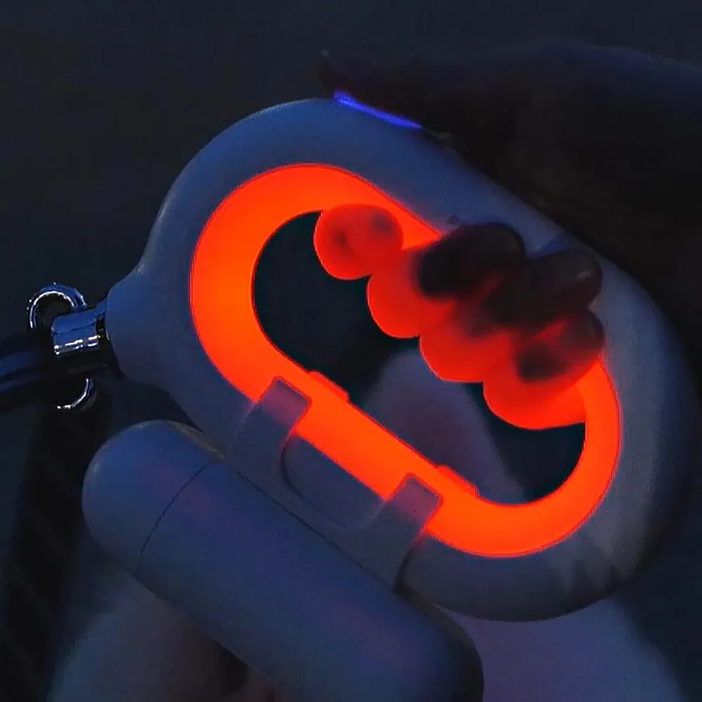 PAWS ASIA Factory Pet Product Low Moq Direct Sale Led Light Nylon Dog Leash With Waste Bag Dispenser