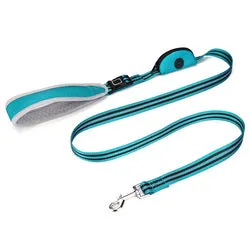 PAWS ASIA Wholesale Nylon Reflective Dog Leash With Poop Bag And Multifunctional Handle Pet Rope