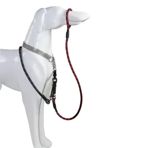 PAWS ASIA Wish Hot Sales New Style Fashion Reflective Big Dog Leash With Spring