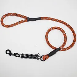 PAWS ASIA Wish Hot Sales New Style Fashion Reflective Big Dog Leash With Spring