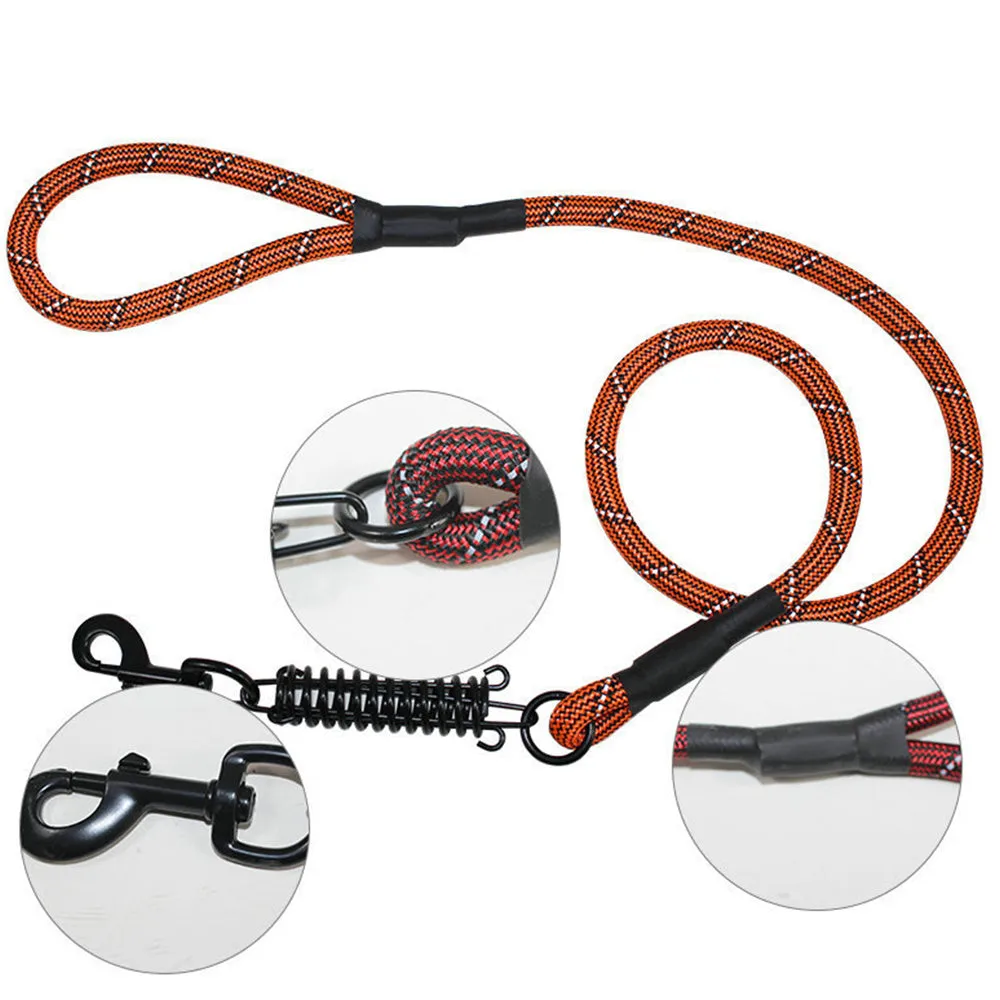 PAWS ASIA Wish Hot Sales New Style Fashion Reflective Big Dog Leash With Spring