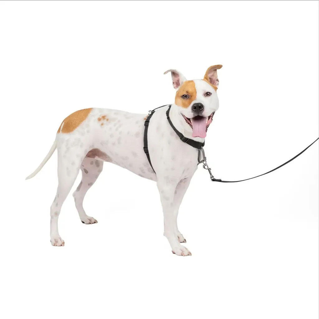 PetSafe 3-in-1 Dog Harness with Car Control Strap, Black