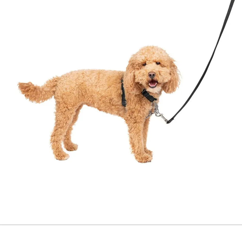 PetSafe 3-in-1 Dog Harness with Car Control Strap, Black