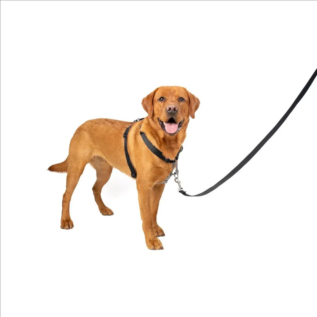 PetSafe 3-in-1 Dog Harness with Car Control Strap, Black