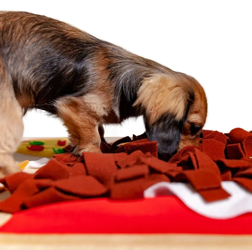 POOZPET Nosework Snuffle Mat For Dogs (Happy Puppy Meal)