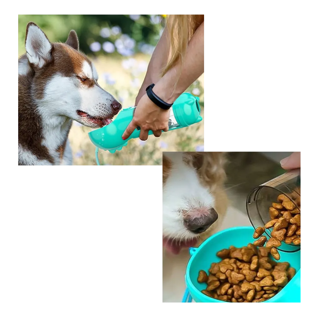 Portable Pet Feeder & Water Bottle