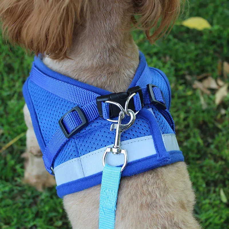Reflective Nylon Dog Harness and Leash Set for Small to Medium Dogs and Cats