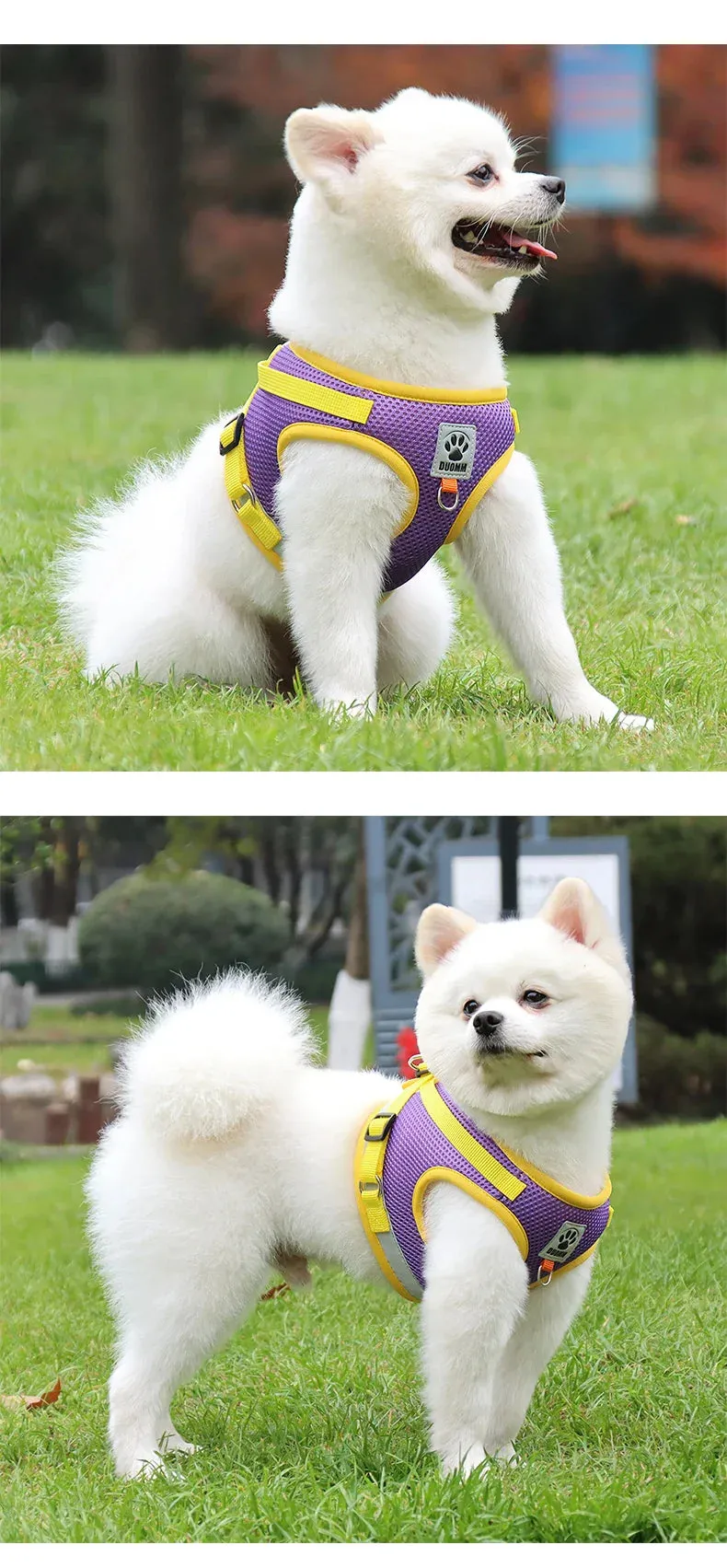 Reflective Nylon Dog Harness and Leash Set for Small to Medium Dogs and Cats