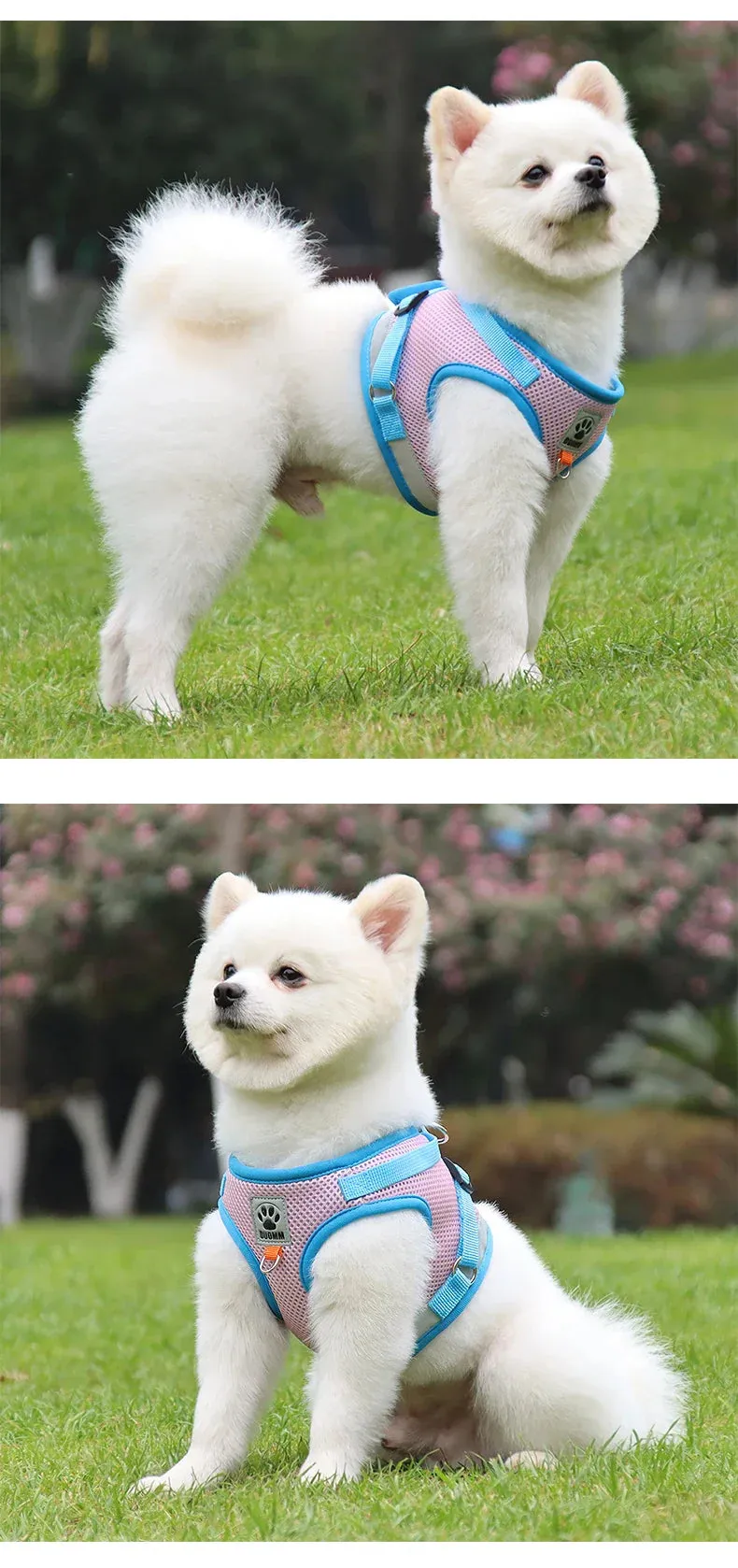 Reflective Nylon Dog Harness and Leash Set for Small to Medium Dogs and Cats