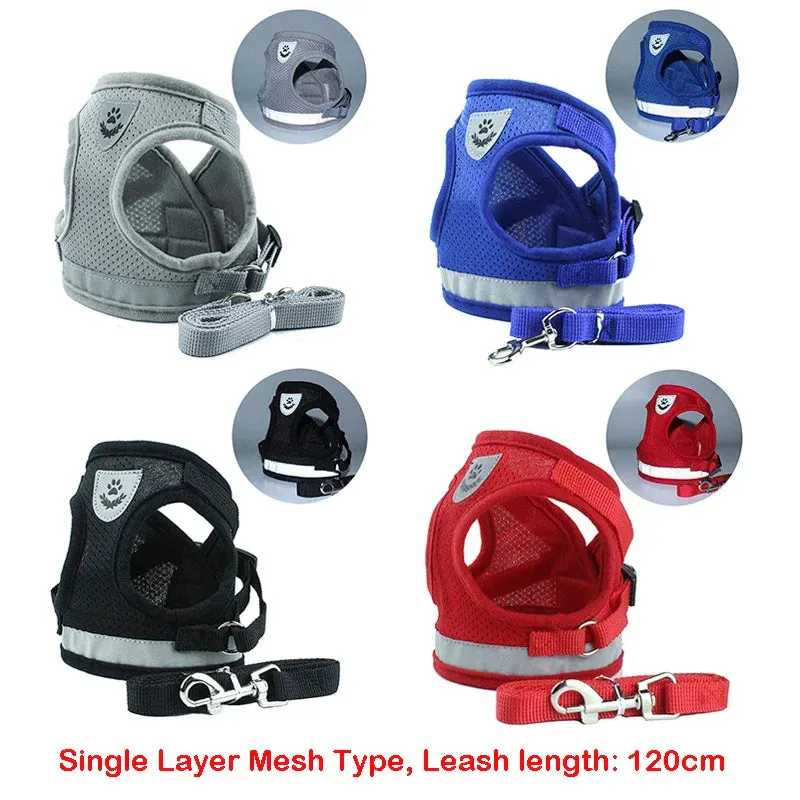 Reflective Nylon Dog Harness and Leash Set for Small to Medium Dogs and Cats