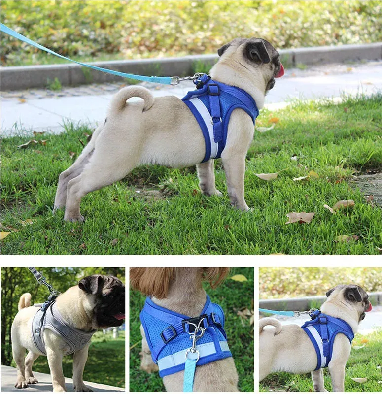 Reflective Nylon Dog Harness and Leash Set for Small to Medium Dogs and Cats