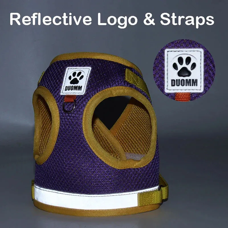 Reflective Nylon Dog Harness and Leash Set for Small to Medium Dogs and Cats
