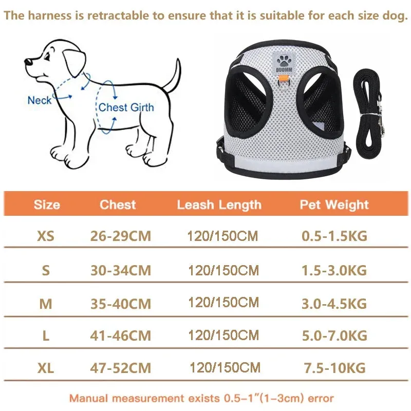 Reflective Nylon Dog Harness and Leash Set for Small to Medium Dogs and Cats