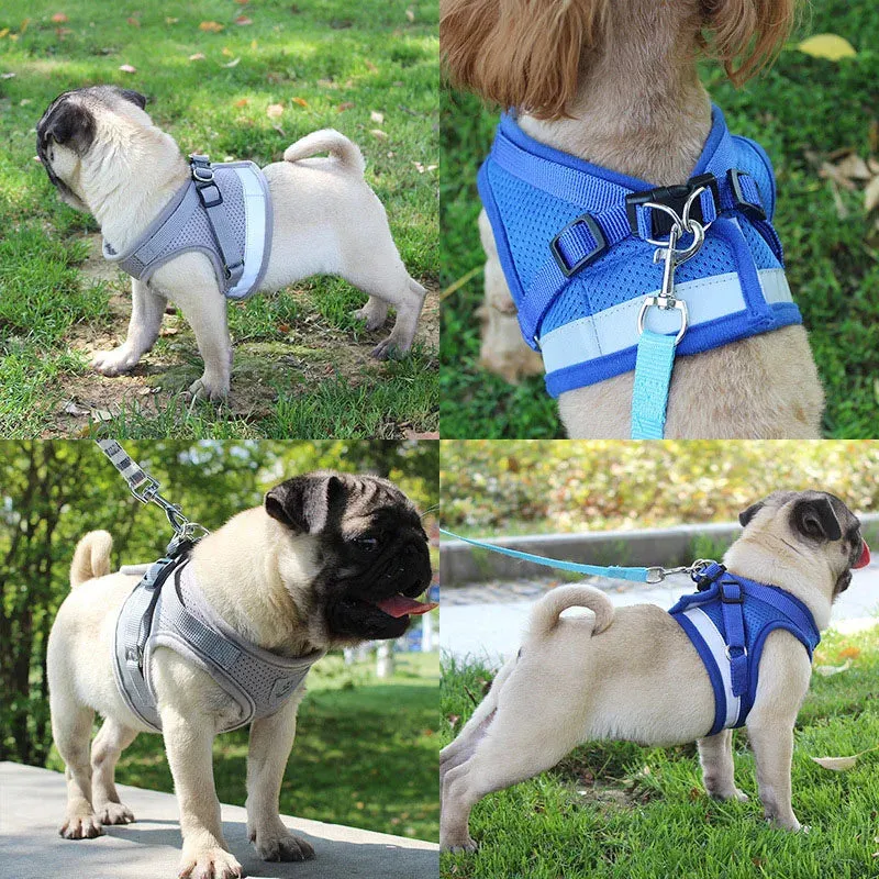 Reflective Nylon Dog Harness and Leash Set for Small to Medium Dogs and Cats