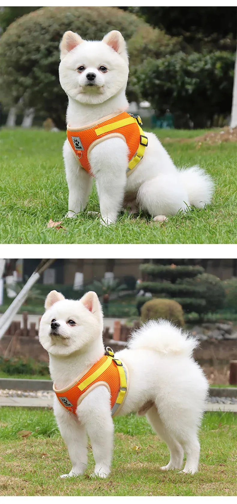 Reflective Nylon Dog Harness and Leash Set for Small to Medium Dogs and Cats