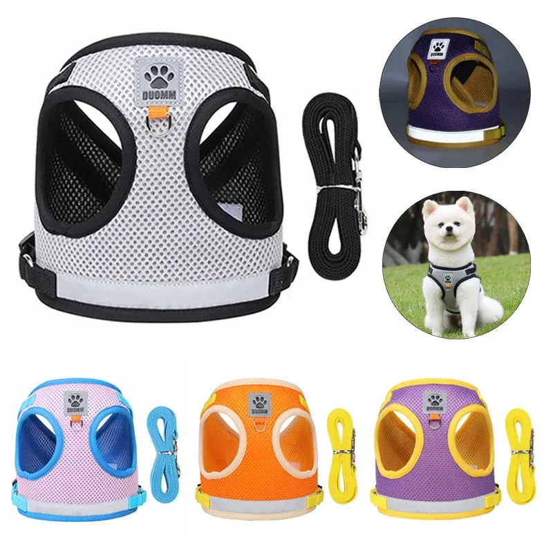 Reflective Nylon Dog Harness and Leash Set for Small to Medium Dogs and Cats