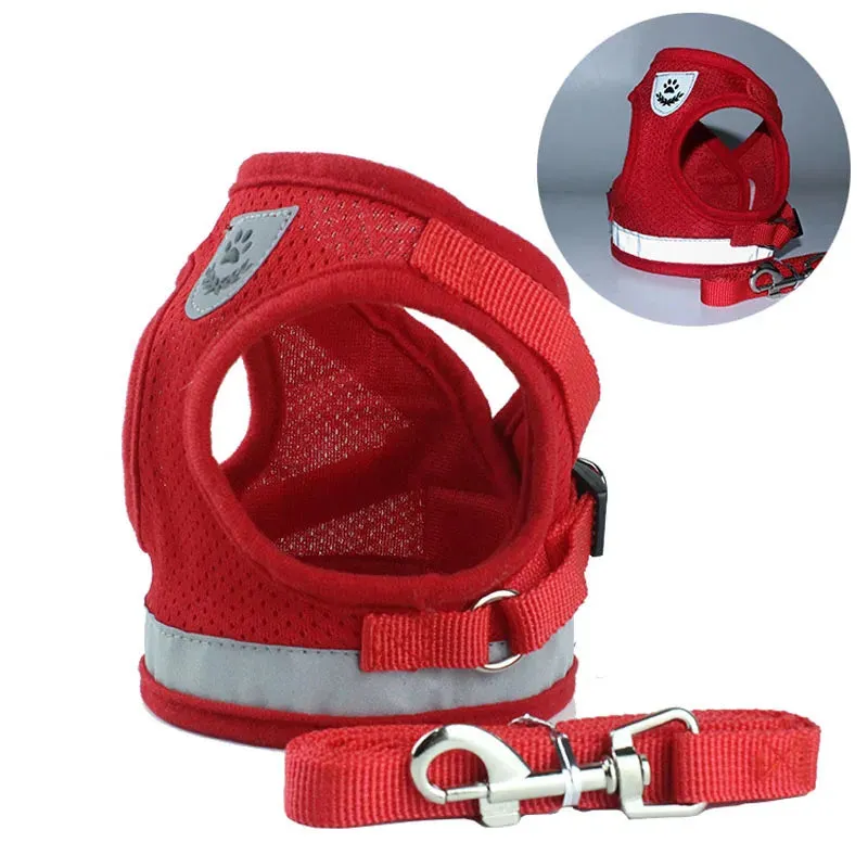 Reflective Nylon Dog Harness and Leash Set for Small to Medium Dogs and Cats