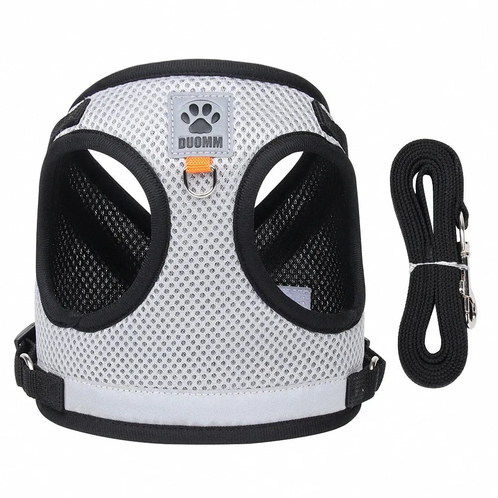 Reflective Nylon Dog Harness and Leash Set for Small to Medium Dogs and Cats
