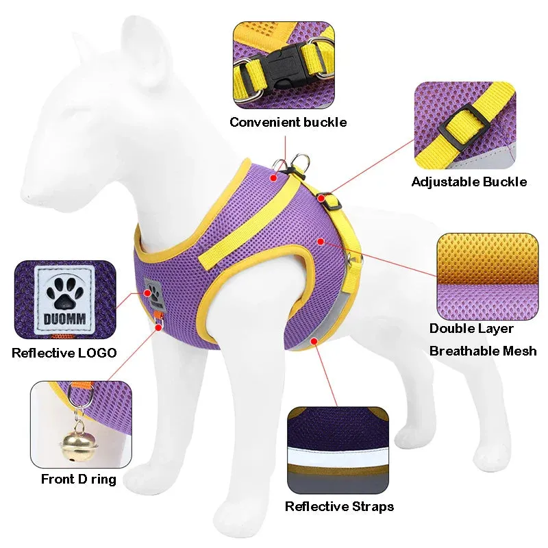 Reflective Nylon Dog Harness and Leash Set for Small to Medium Dogs and Cats