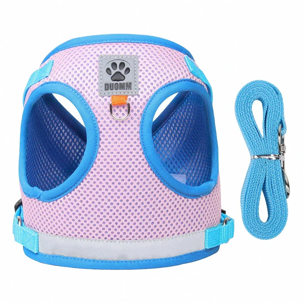 Reflective Nylon Dog Harness and Leash Set for Small to Medium Dogs and Cats