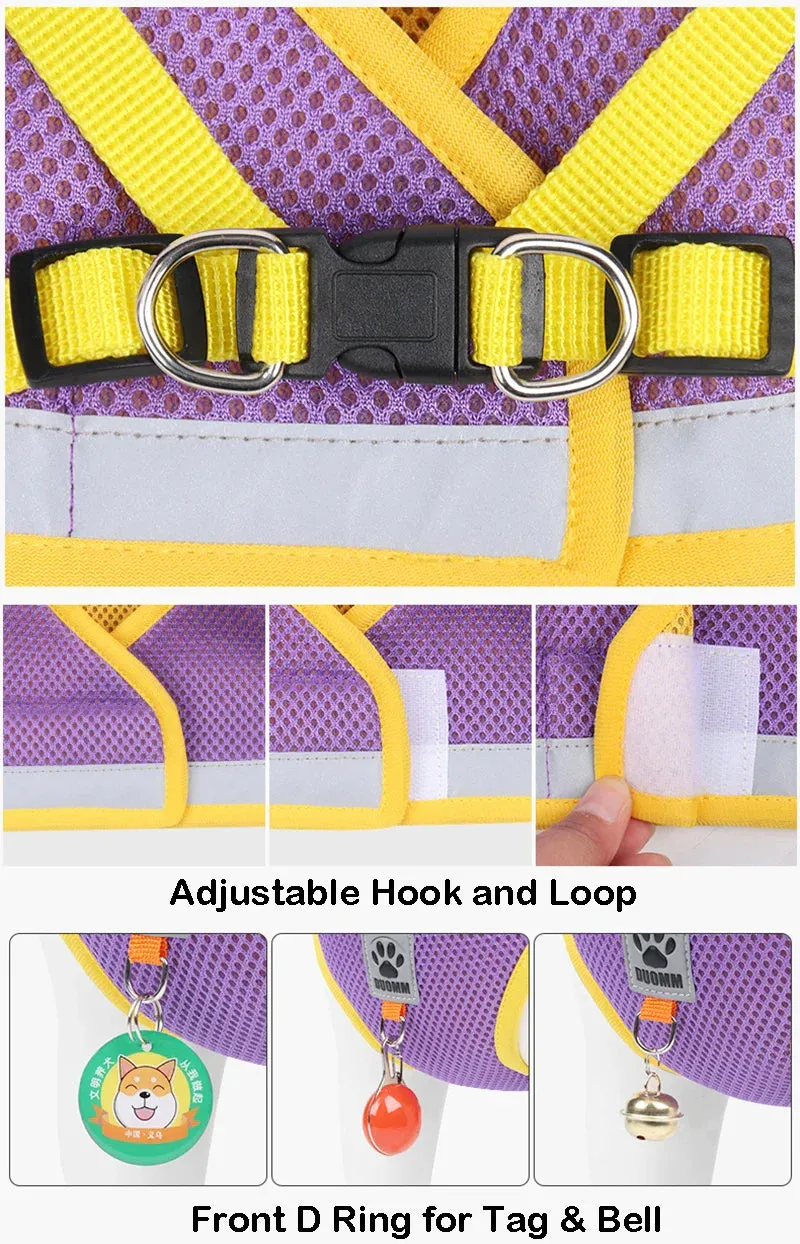 Reflective Nylon Dog Harness and Leash Set for Small to Medium Dogs and Cats