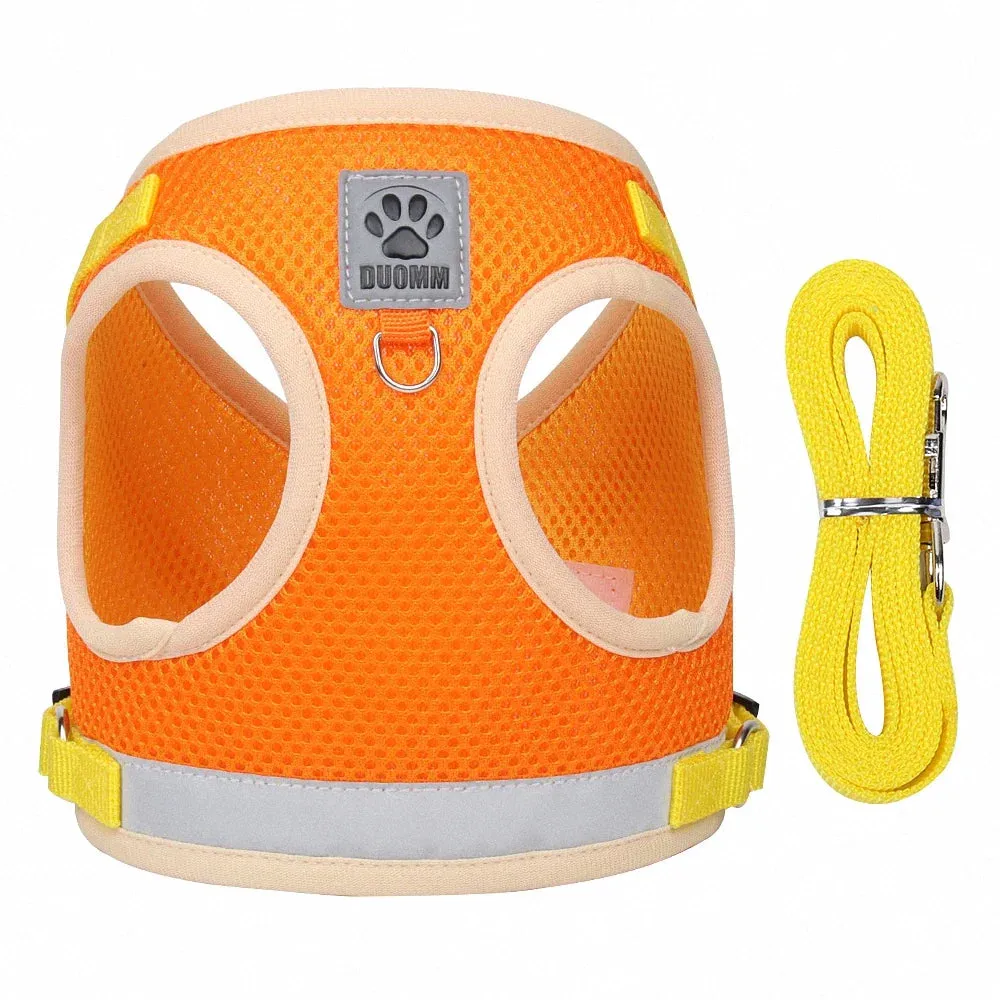 Reflective Nylon Dog Harness and Leash Set for Small to Medium Dogs and Cats