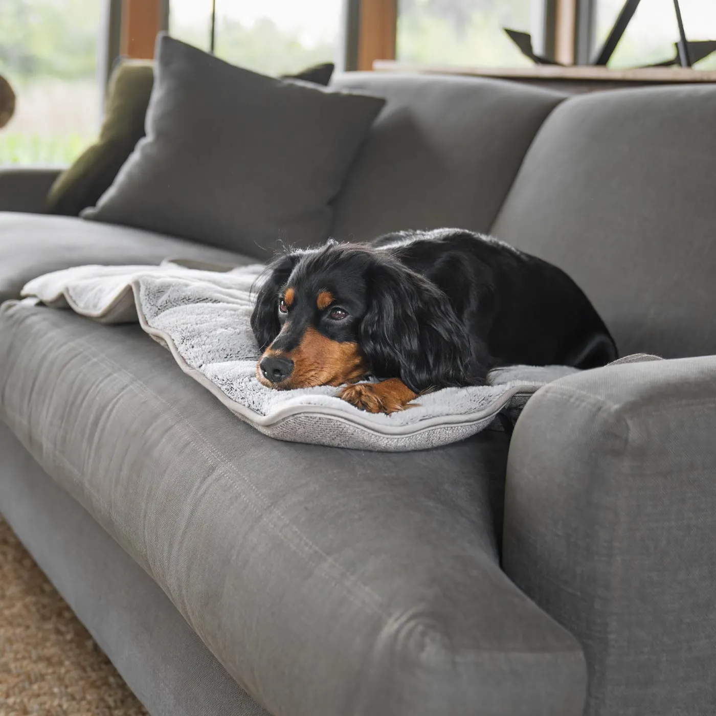 Roll & Go Travel Mat by Lords & Labradors