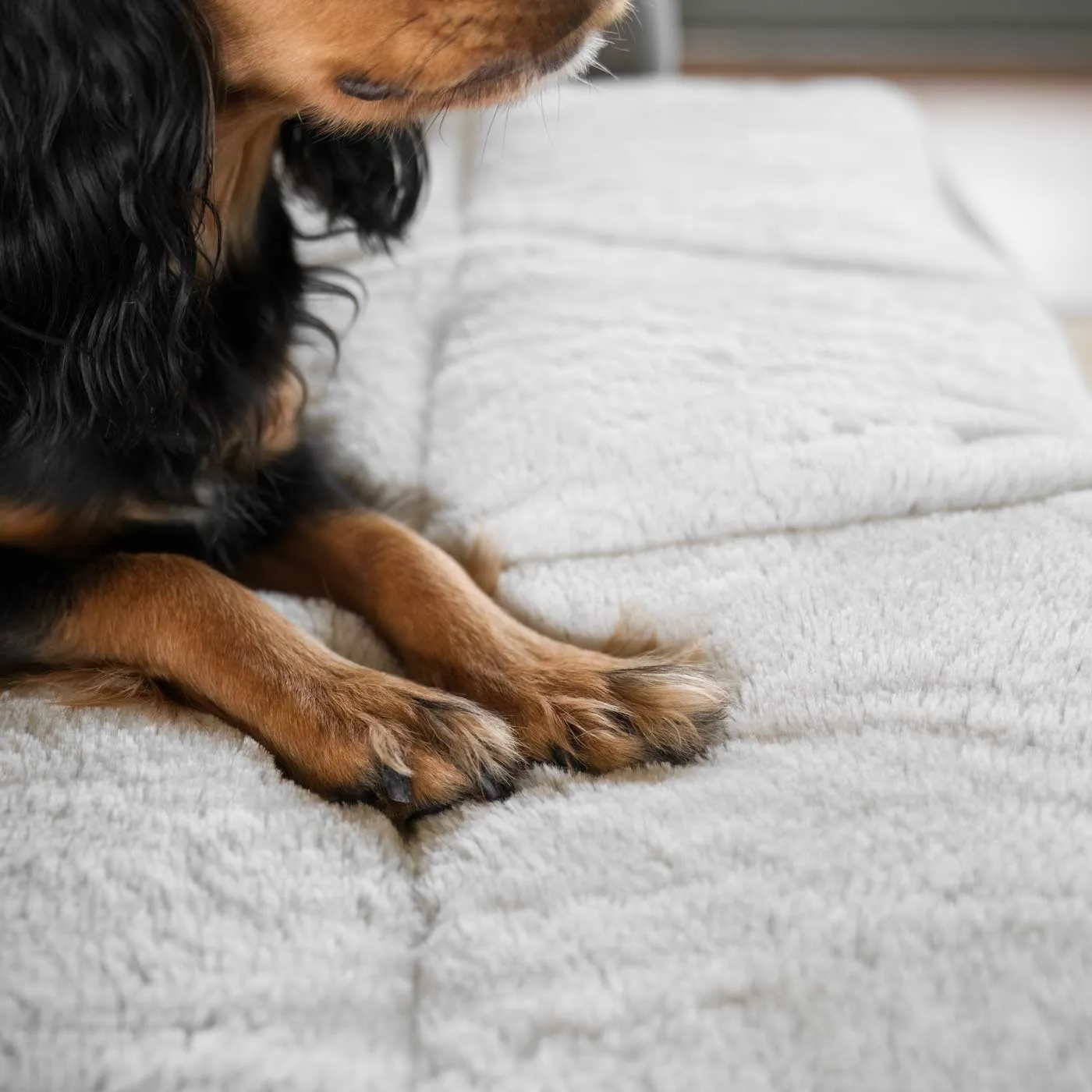 Roll & Go Travel Mat by Lords & Labradors