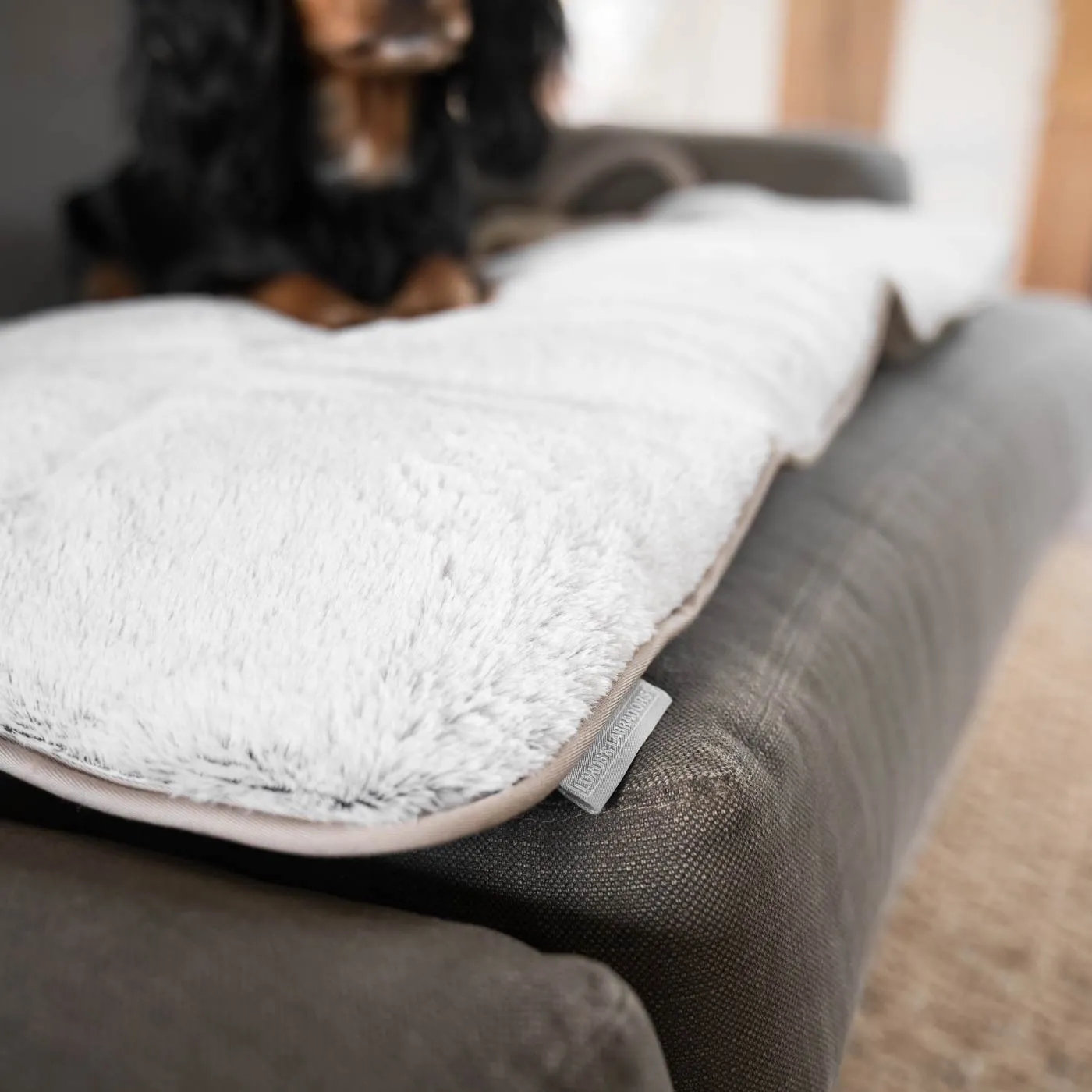 Roll & Go Travel Mat by Lords & Labradors