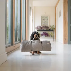 Roll & Go Travel Mat by Lords & Labradors