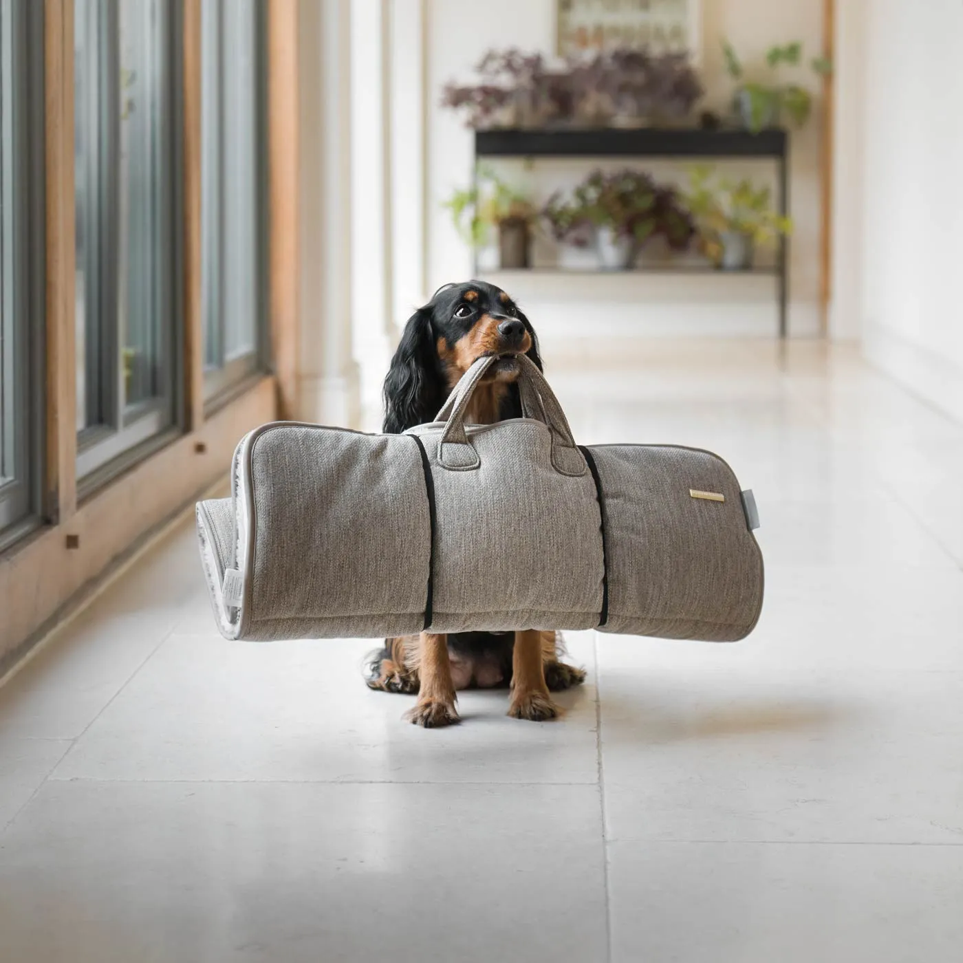 Roll & Go Travel Mat by Lords & Labradors