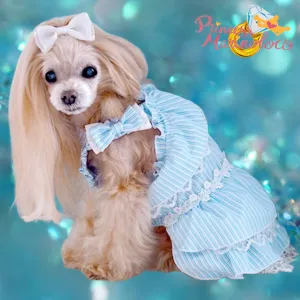 Sky Blue Stylish Shoulder Dress