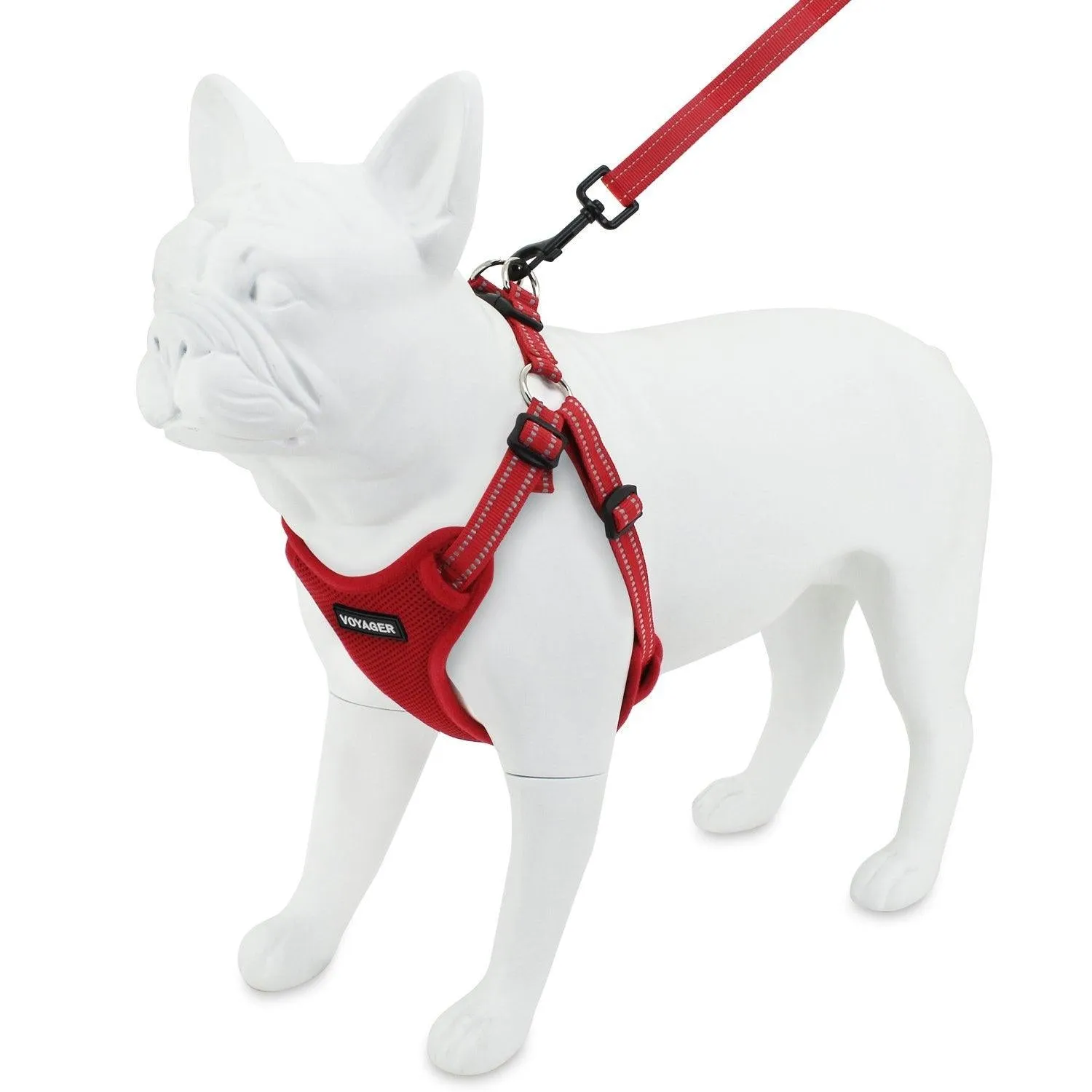 Valentine Step-In Flex Harness & Leash Set