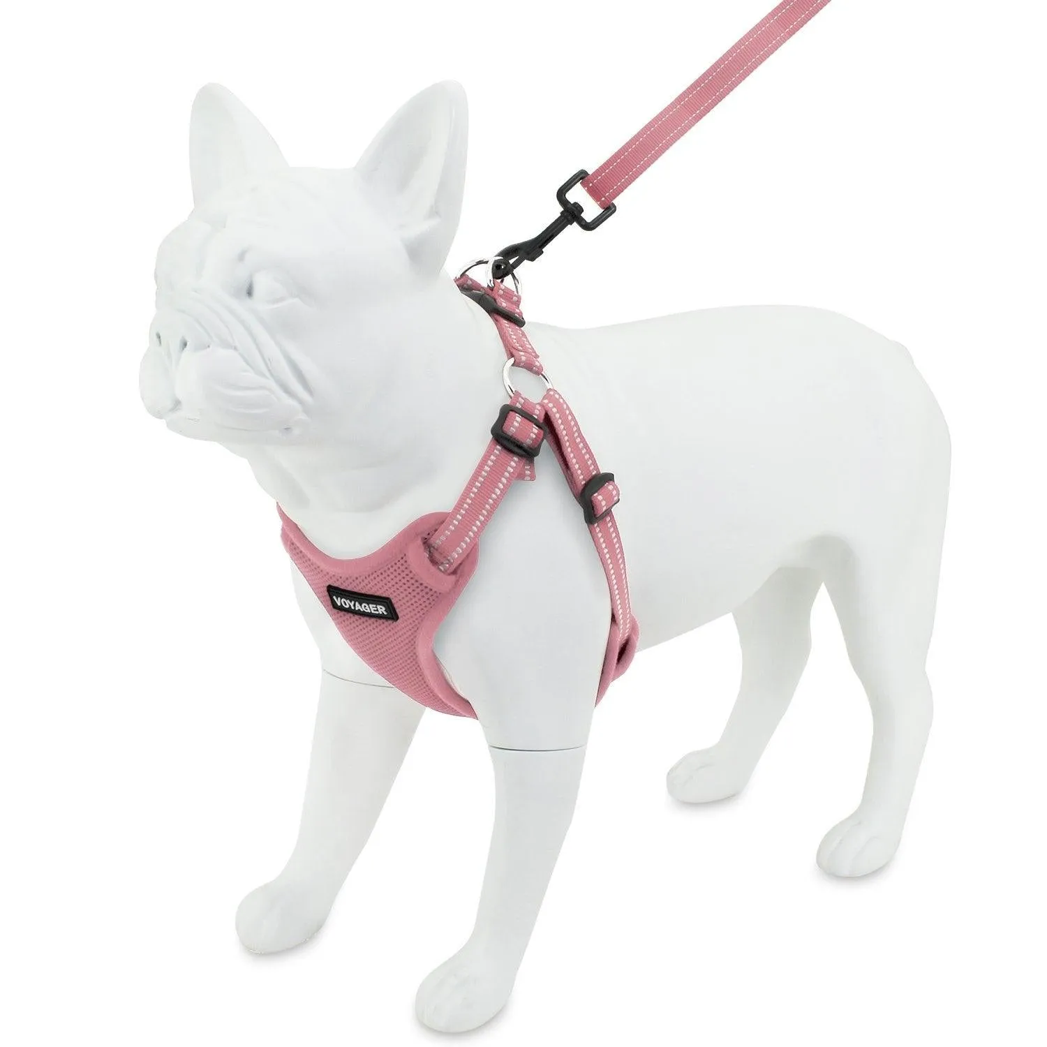 Valentine Step-In Flex Harness & Leash Set